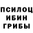 Галлюциногенные грибы прущие грибы Reignex Hater