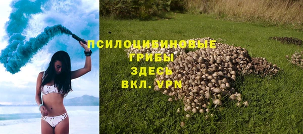 spice Михайловка