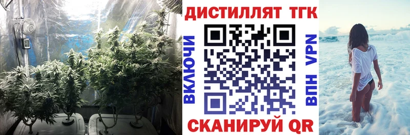 Купить закладки  Россошь  Дистиллят ТГК гашишное масло 